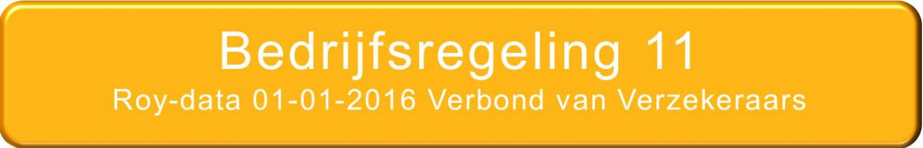 bedrijfsregeling 11